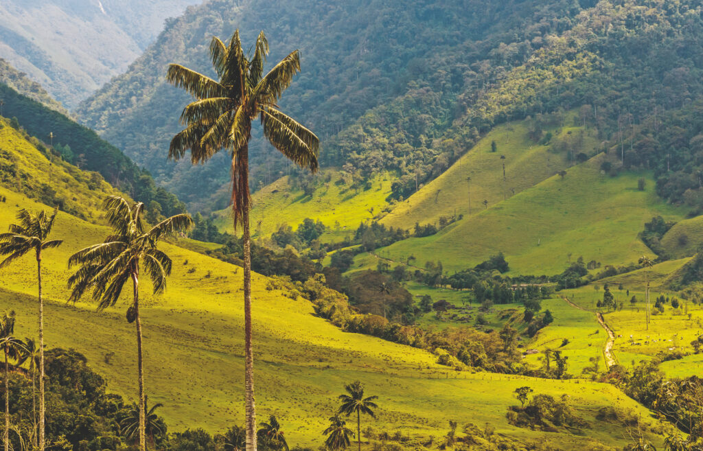Cocora Tal mit Kaffeezone