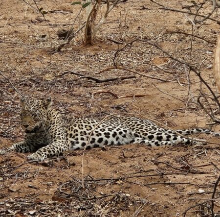 Namibia Botswana Simbabwe Rundreise | Vögele Reisen