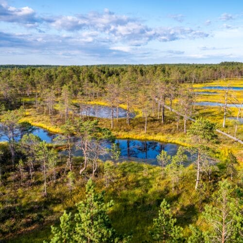 Geheimtipp für eine Mietwagenrundreise